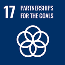 SDG 17: PARTNERSHIPS FOR THE GOALS